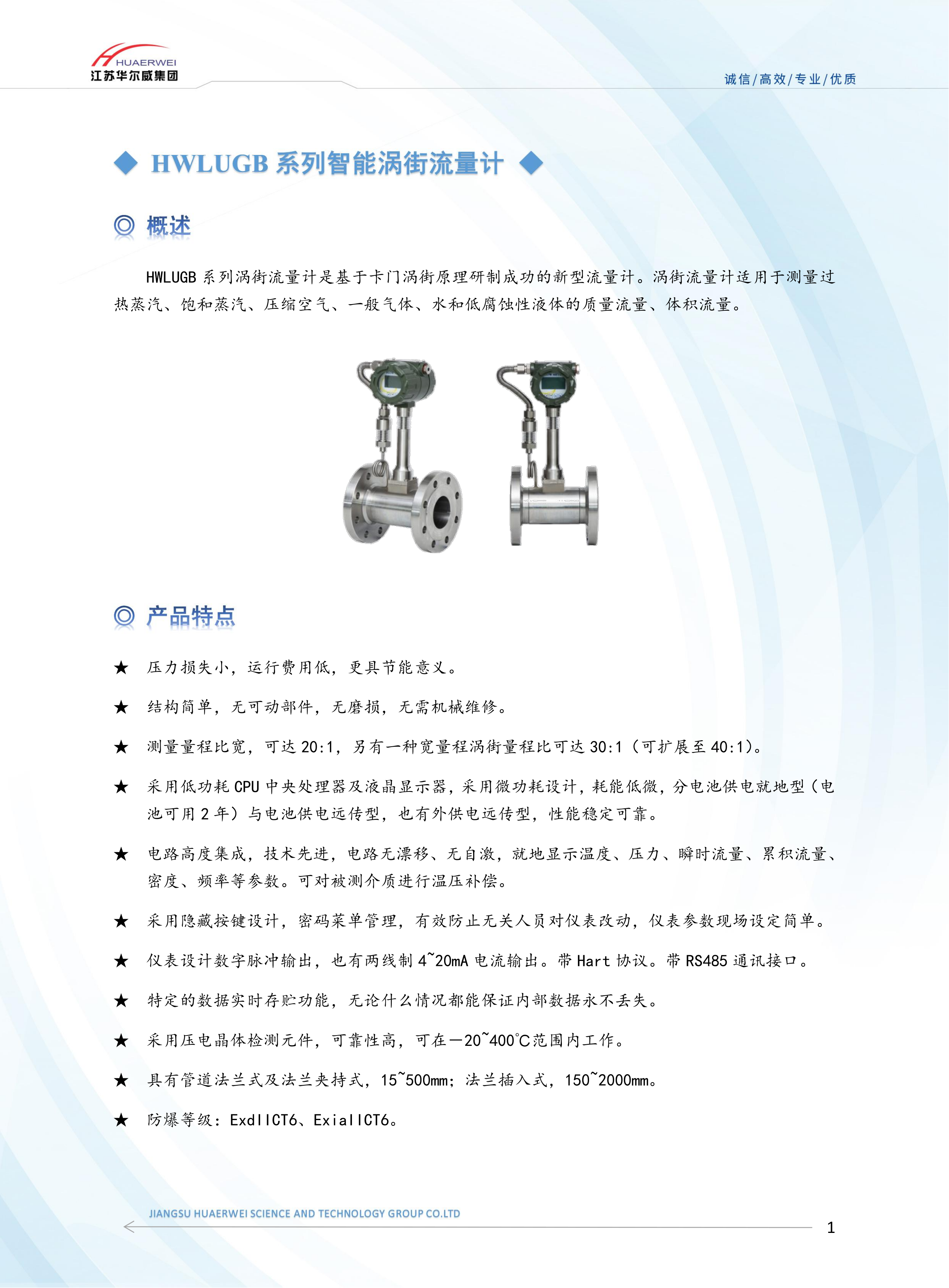 渦街流量計(jì)(圖1)